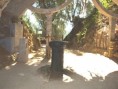 DSCF0223 DSCF0223