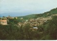Panorama melicucca Panorama melicucca